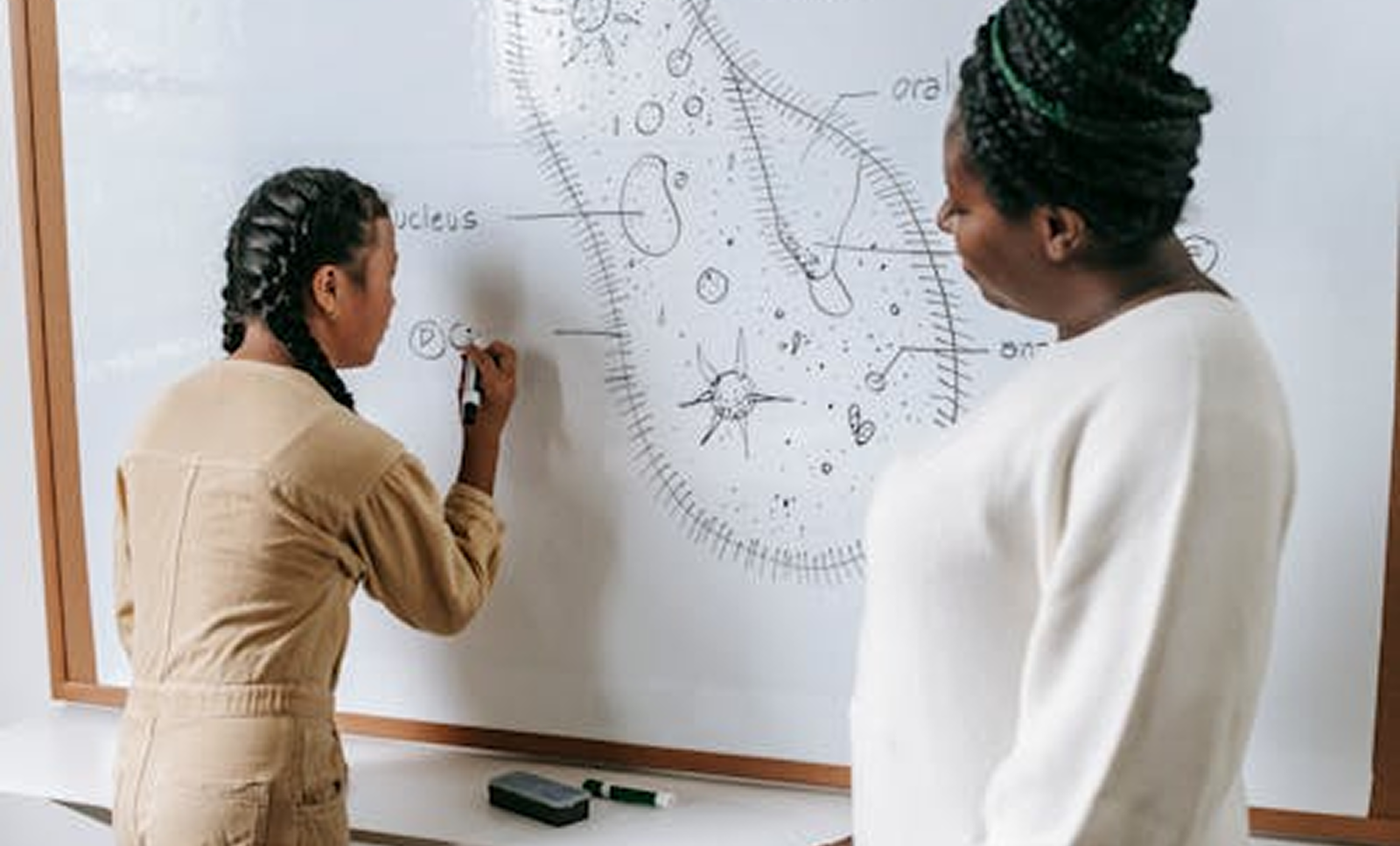 Full-Stack Web Development